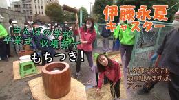 【特集】スマイル☻いっとう賞～田んぼの学校 収穫祭～