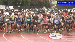 【特集】第41回江東シーサイドマラソン大会