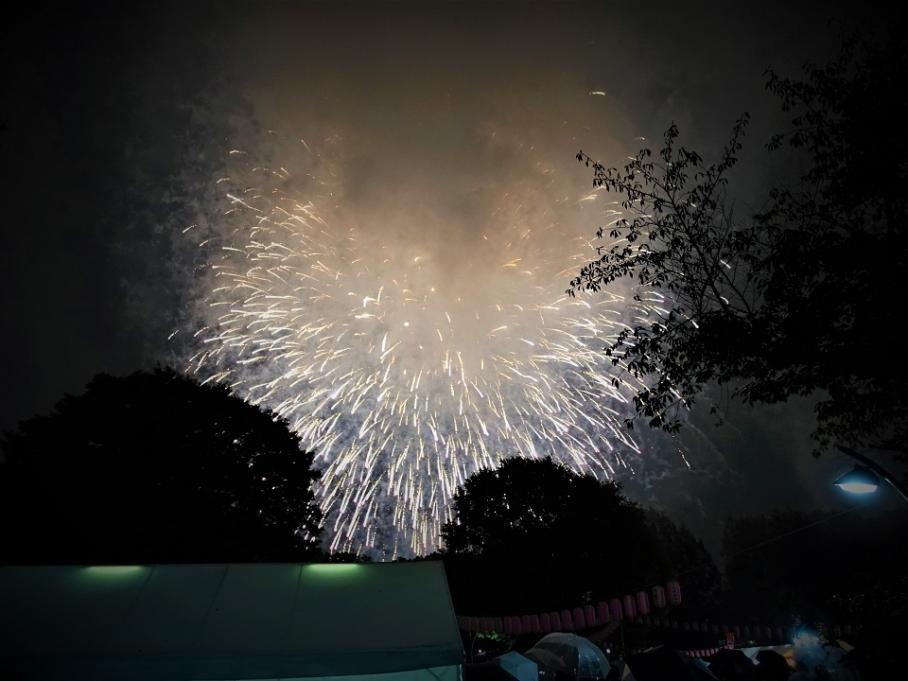 第44回亀戸地区夏まつり大会2