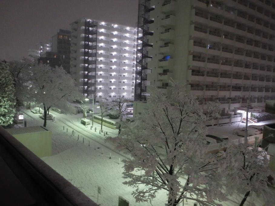 平成30年1月(積雪写真)