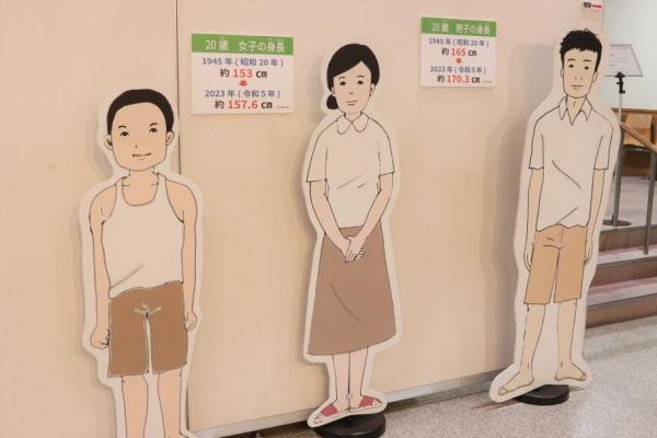 平均身長の比較