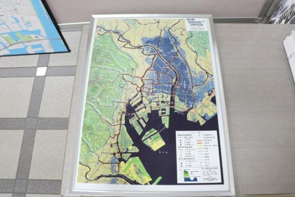 東京都東部低地帯立体地図