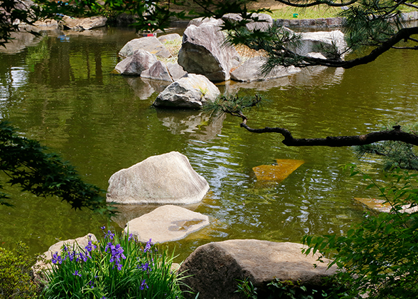 公園の南側に広がる日本庭園