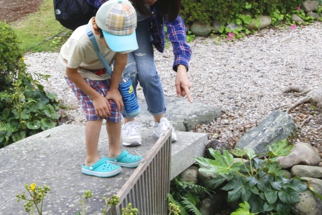 親子が公園の川をのぞき込んでいる写真
