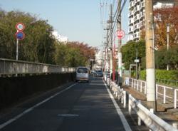 仙台堀川公園および隣接道路