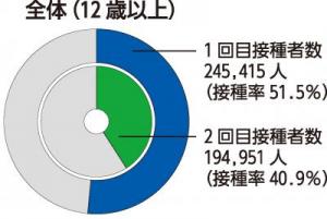 接種実績グラフA