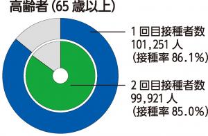 接種実績グラフB