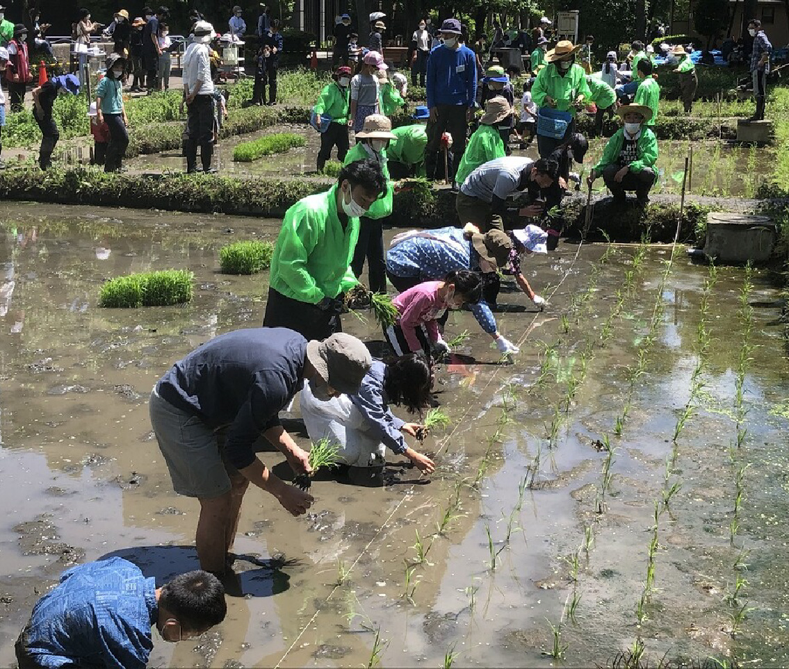 区報令和4年11月21日号3面_田んぼの学校