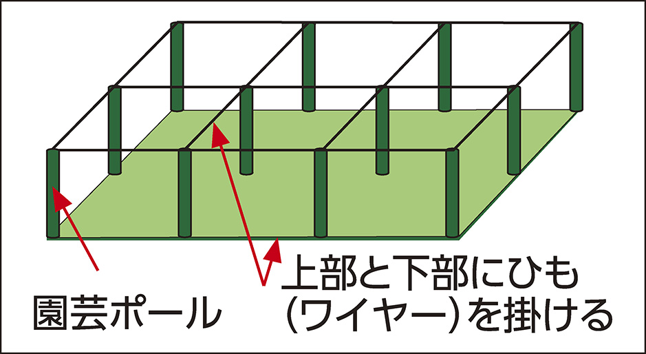 ウミネコ防除網a