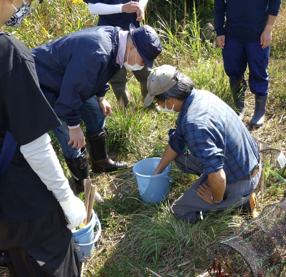 原っぱや湿地を守る体験会