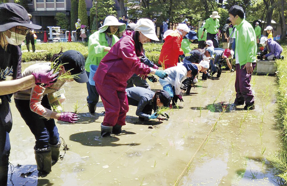 田んぼの学校