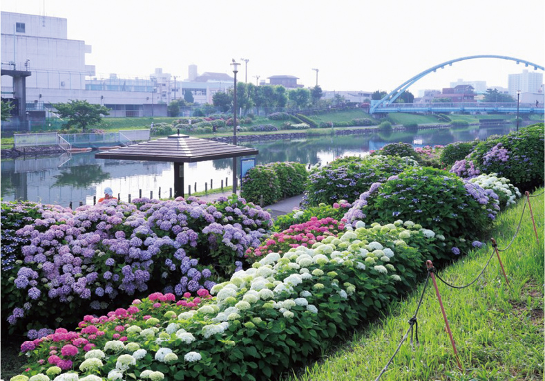 旧中川水辺公園（令和6年度Instagramフォトコンテスト）