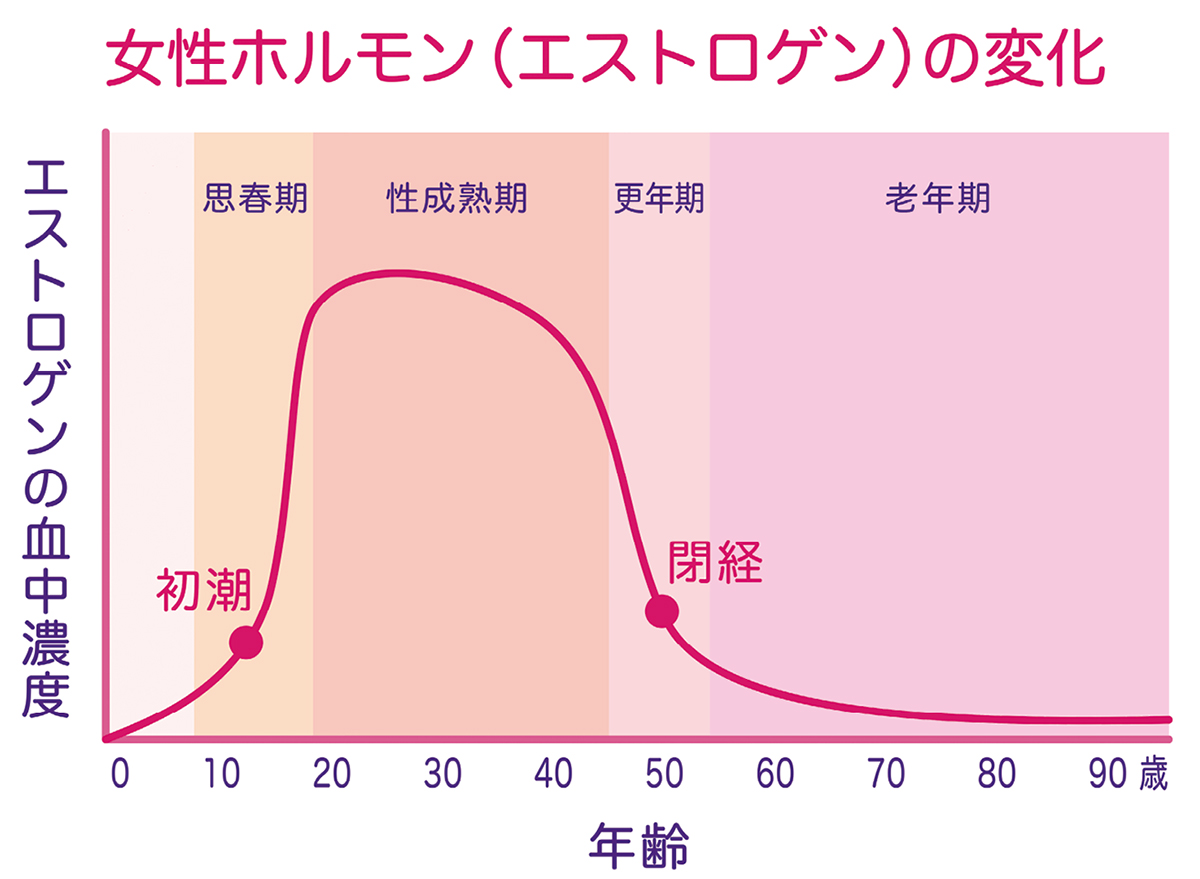 女性ホルモン(エストロゲン)の変化