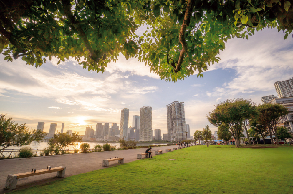 みどり金賞（江東区長選出）渡辺ヨシユキ「緑とやわらかな時間」