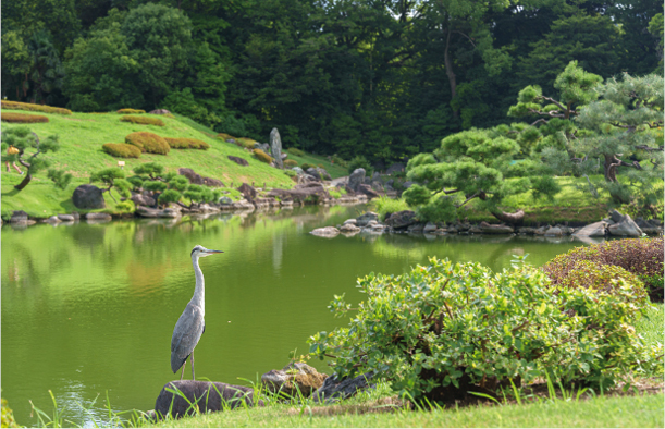 みどり銀賞（江東区議会議長選出）田口哲也「緑の静寂」