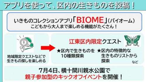アプリを使って、区内の生きものを投稿！