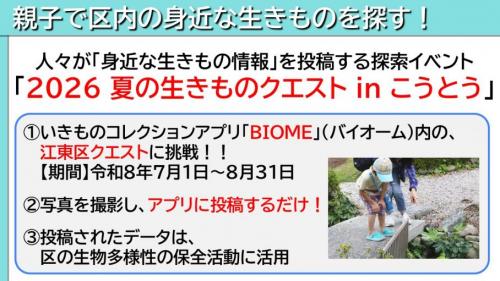 親子で区内の身近な生きものを探す！