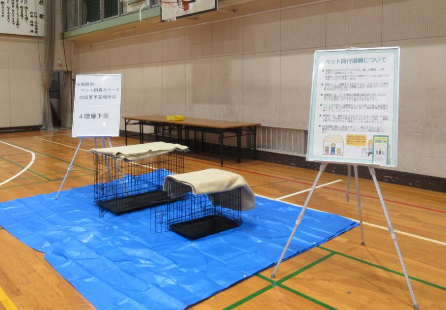 訓練6