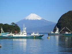 戸田港から見る富士山（冬）