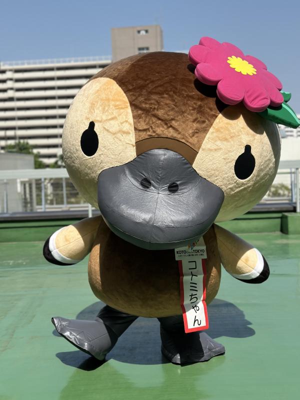 コトミちゃん