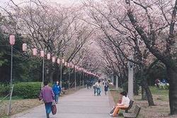 辰巳の森緑道公園