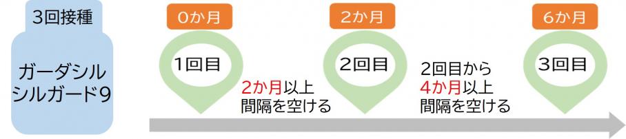 4価9価一般的なスケジュール