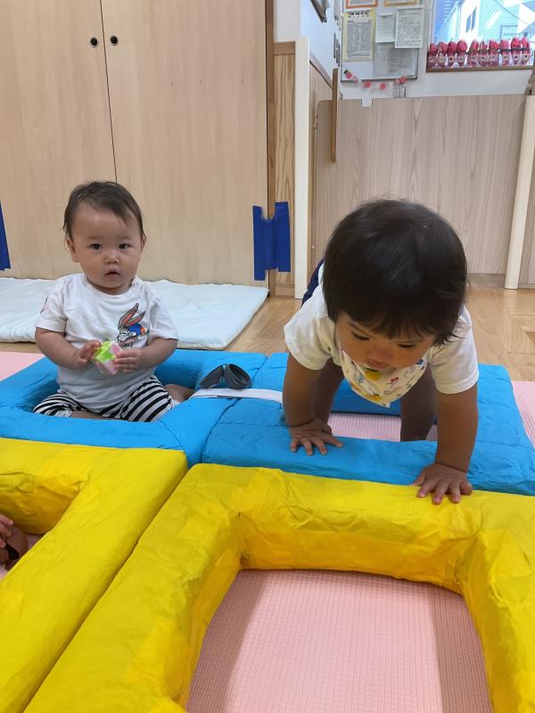 0歳 特色