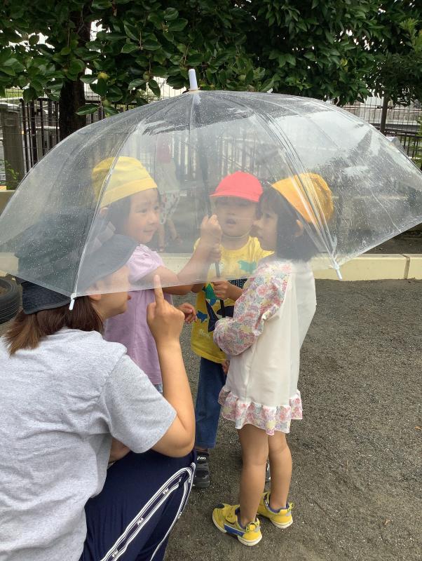 さくらんぼ組 雨の日探索