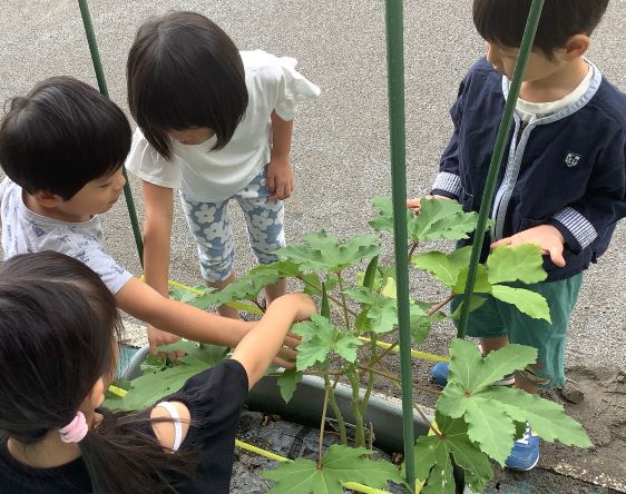4歳