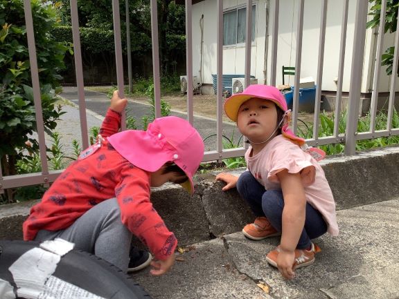 2歳
