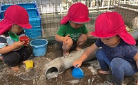 1歳児クラスどろんこ遊びの様子