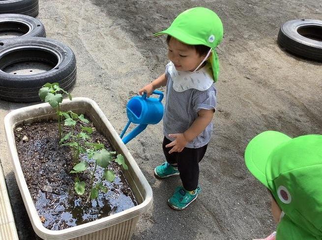 1歳