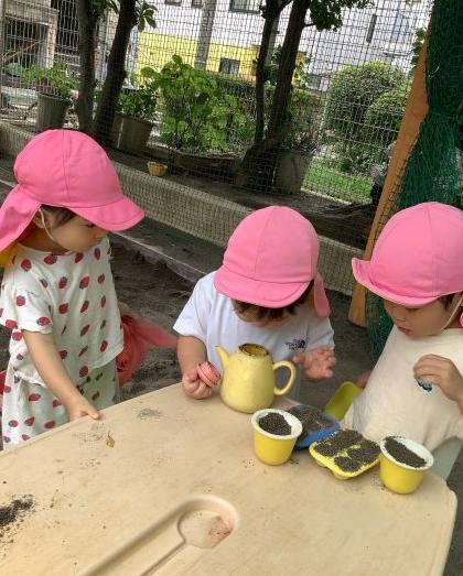 ダンゴムシ探し1