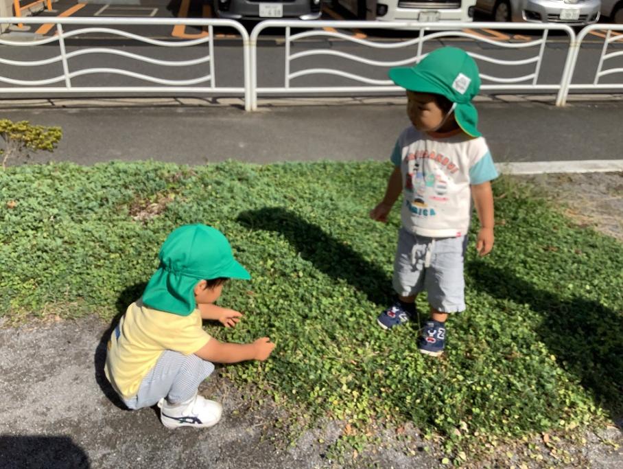 1さいじくらすがこうえんであそんでいるようす