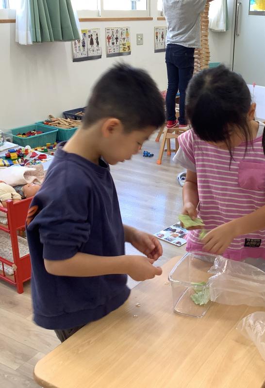 5歳カタツムリ世話