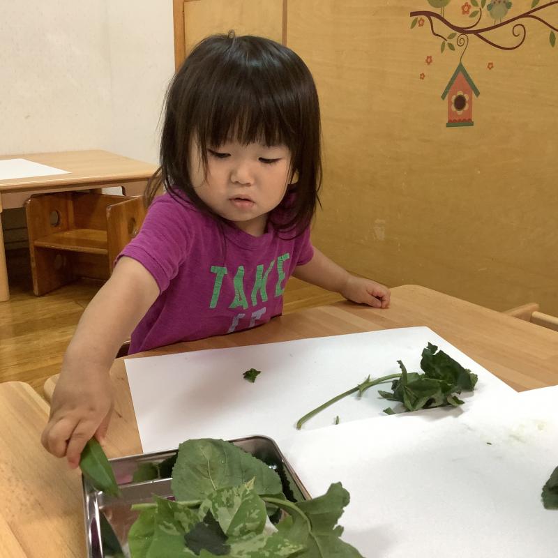 葉っぱで制作をしているところ