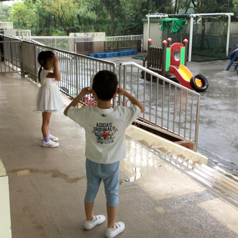 外を眺める様子