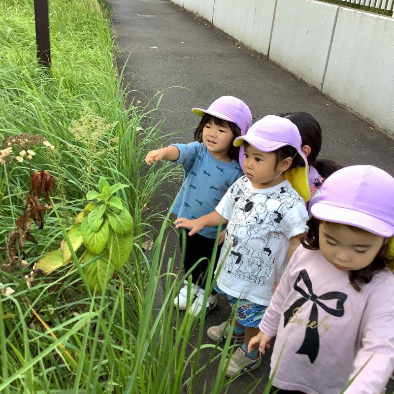 2歳 すくわく①