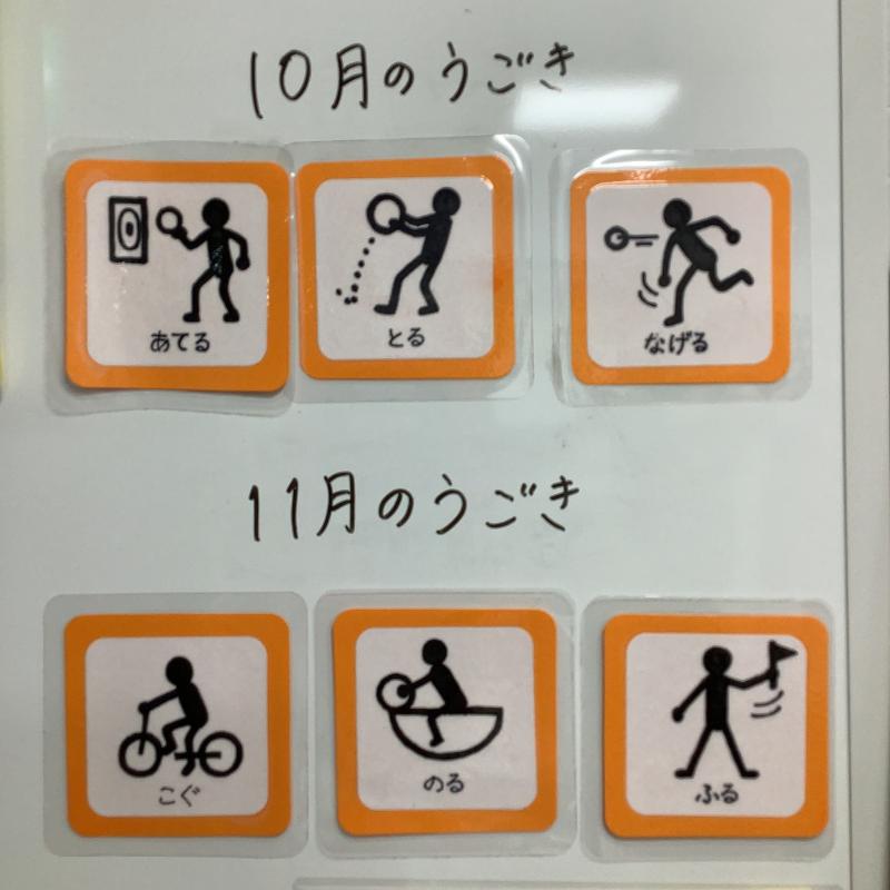 10月と11月の動き