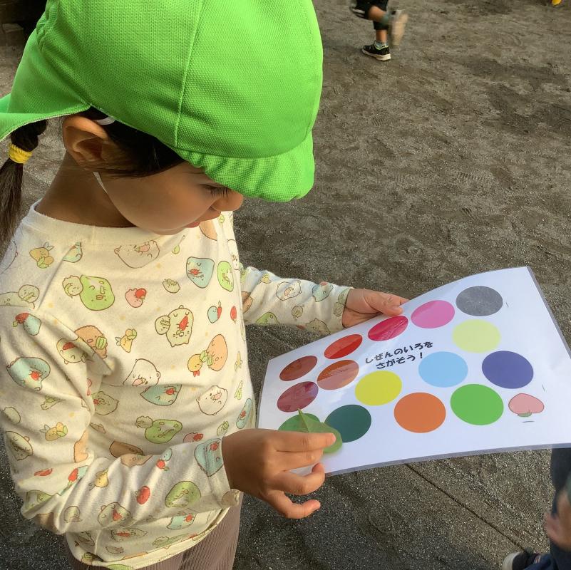 色を見つける様子