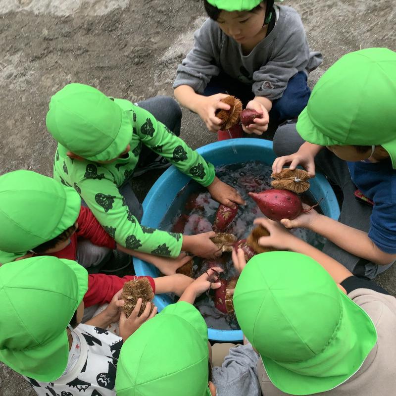 さつまいもを洗う様子