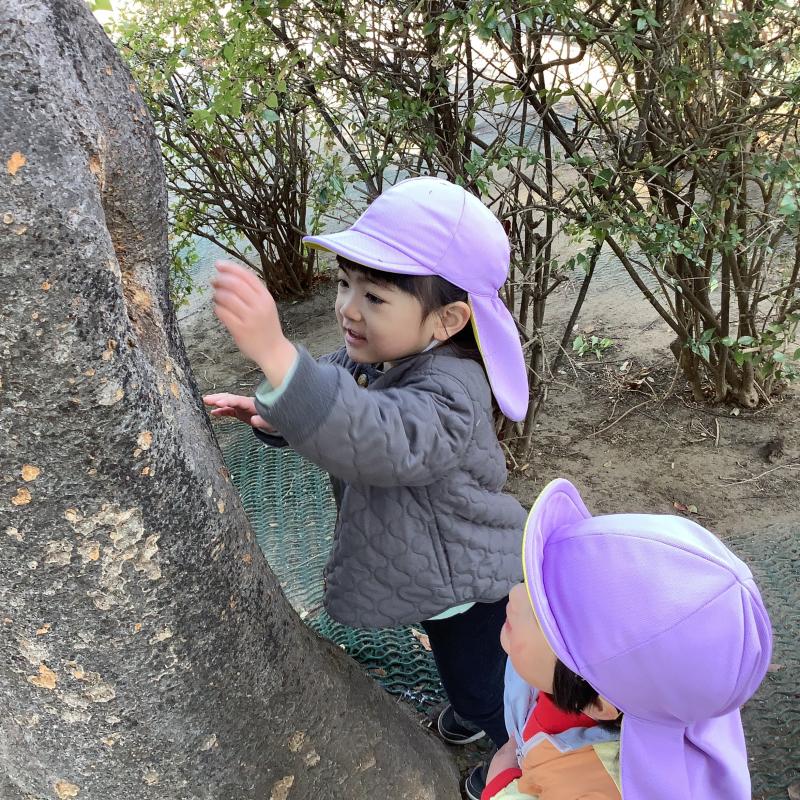 2歳　すくわく①