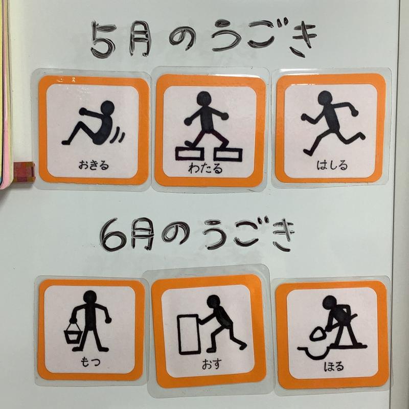 5月と6月の動き