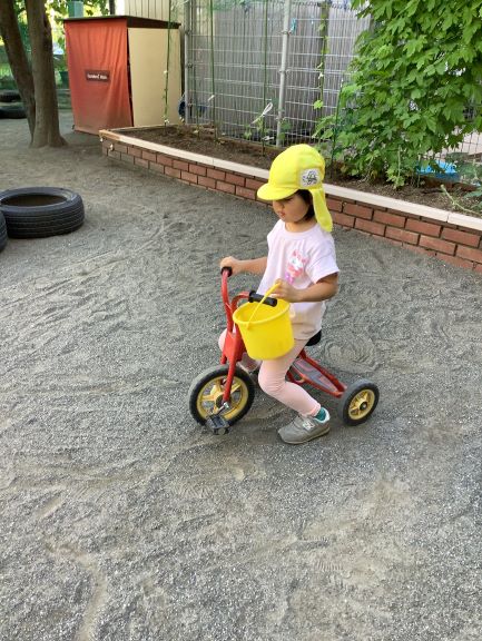 sannrinnsha