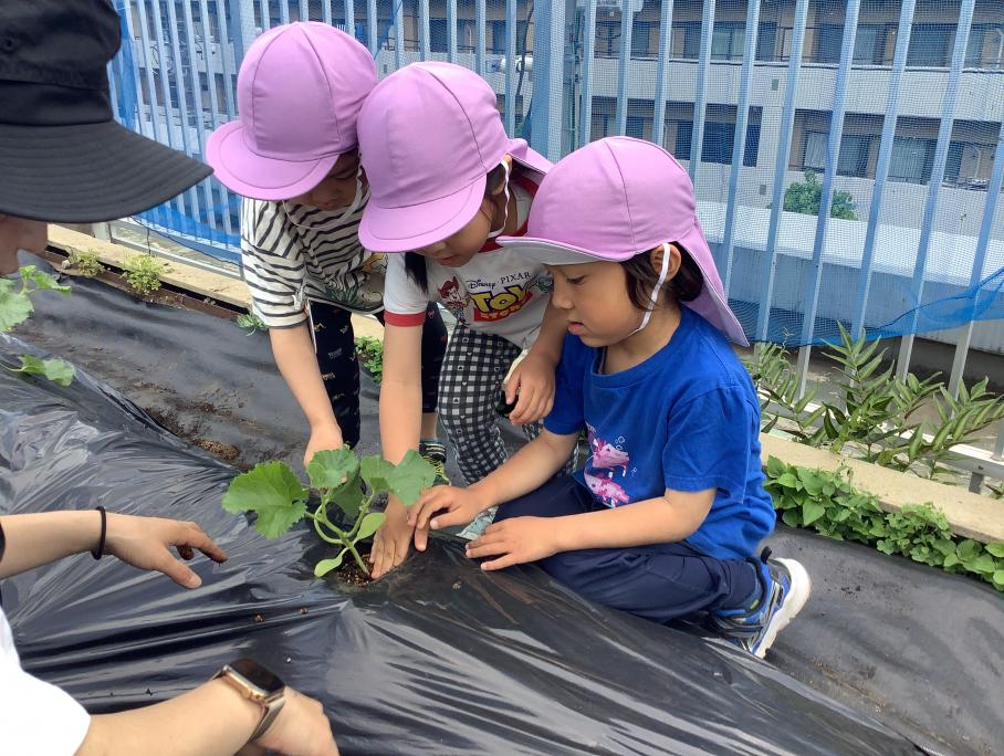 4歳