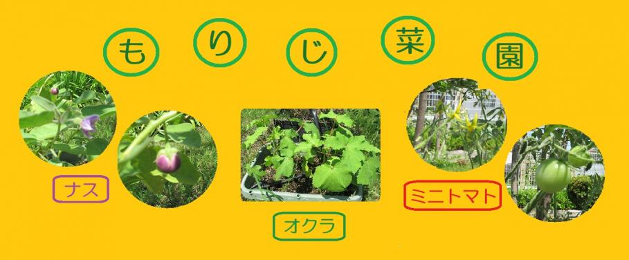 もりじ菜園