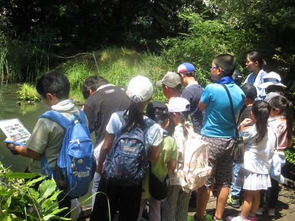 フジクラ木場千年の森