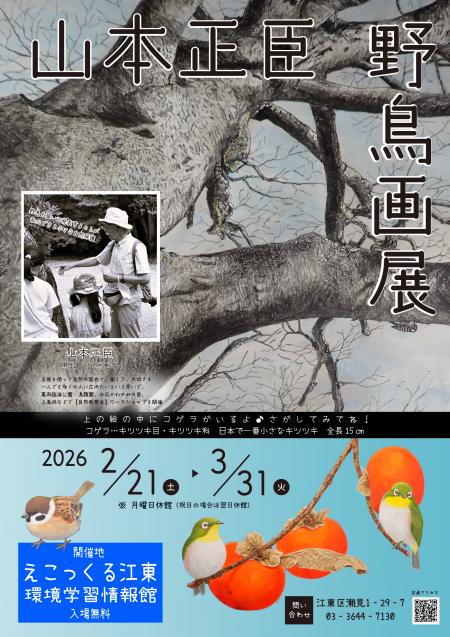 山本正臣野鳥画展2026チラシ