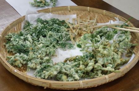 自然の恵みラボ「野草観察～食べられる野草観察」