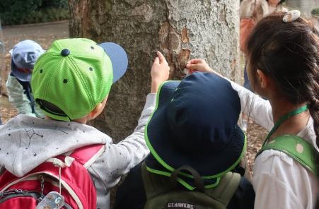 わくわく生きものたんけん隊